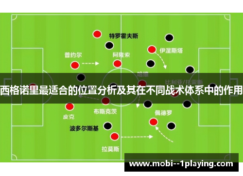 西格诺里最适合的位置分析及其在不同战术体系中的作用