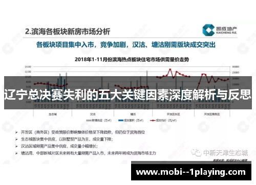 辽宁总决赛失利的五大关键因素深度解析与反思